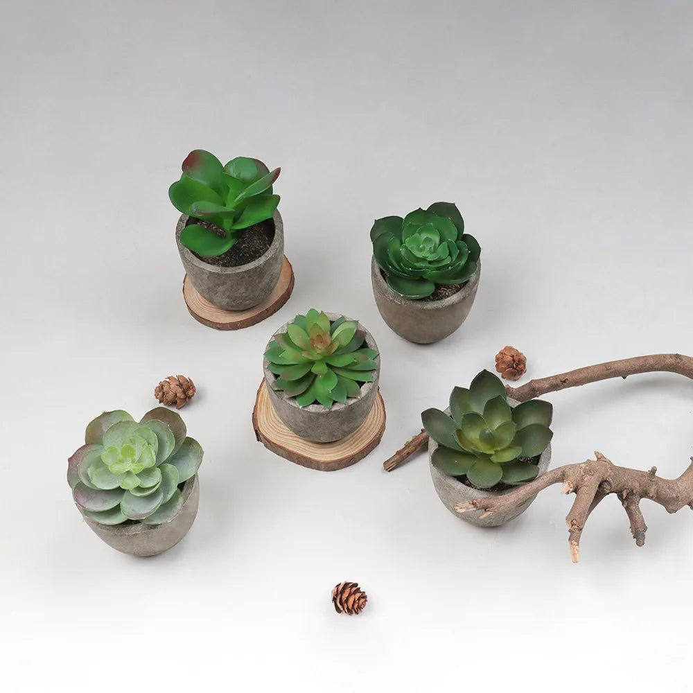 Artificial succulent plants for modern interior decoration - view 5