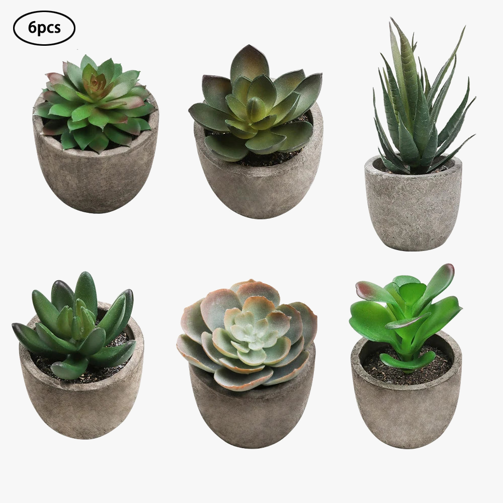 Artificial succulent plants for modern interior decoration - view 7