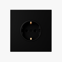 Electrical Socket Type F in Matt Black Steel, 86x90mm Plate