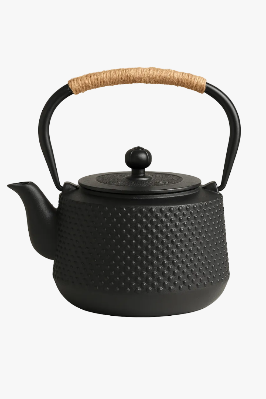 Japanese Cast Iron Tea Service with Infuser for Tea Rooms and Hotels