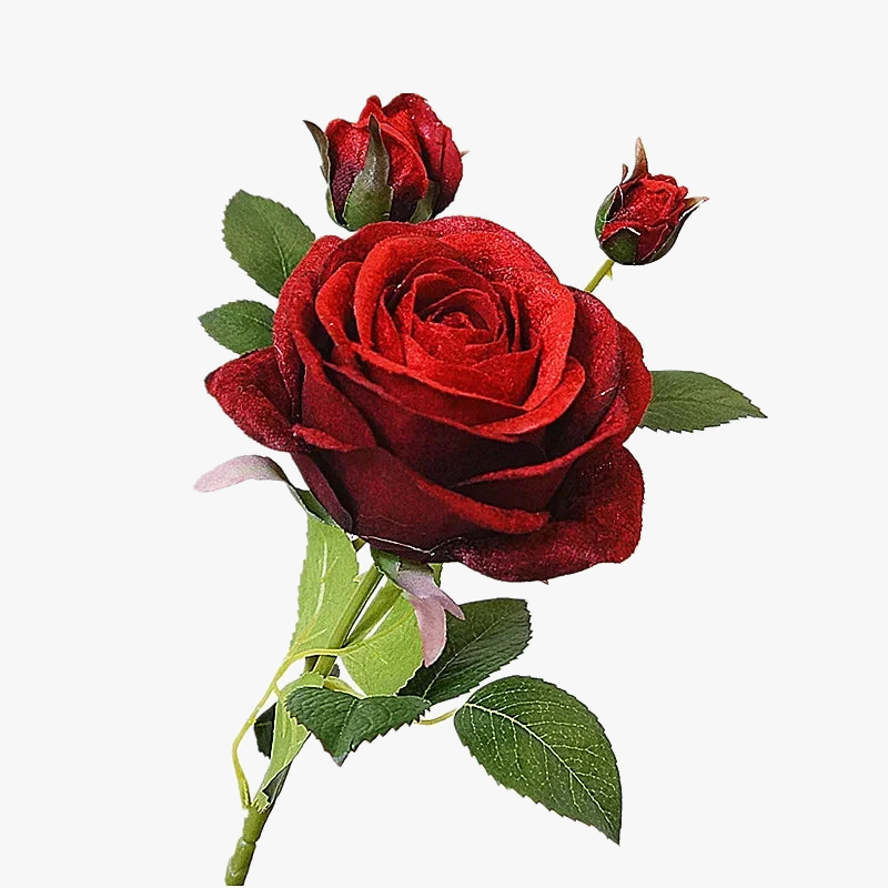 Simulation of velvet rose wines for elegant decoration - view 2