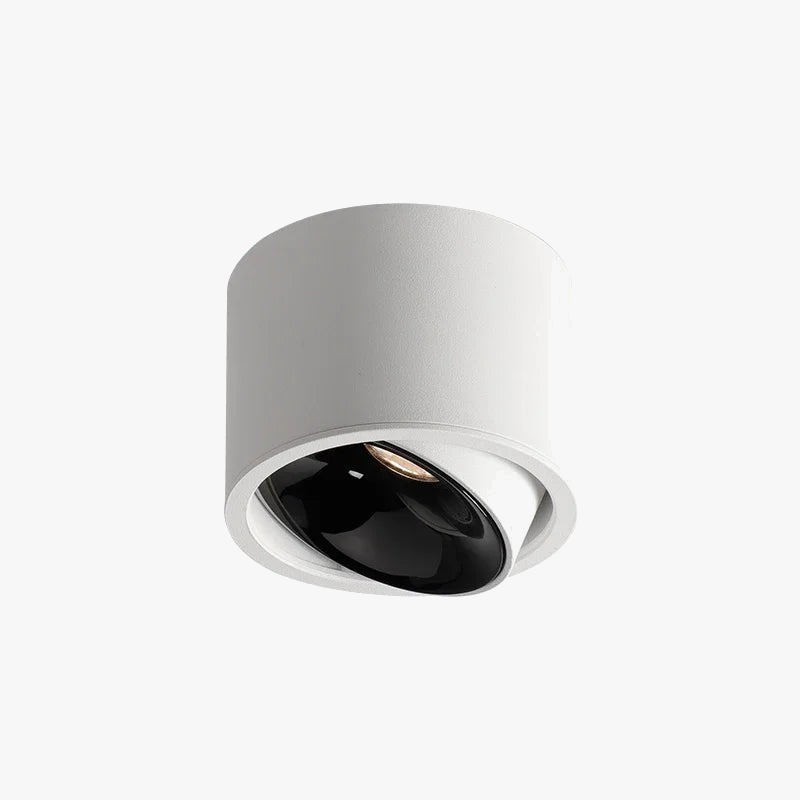 Ultra-thin adjustable spot anti-glare light led