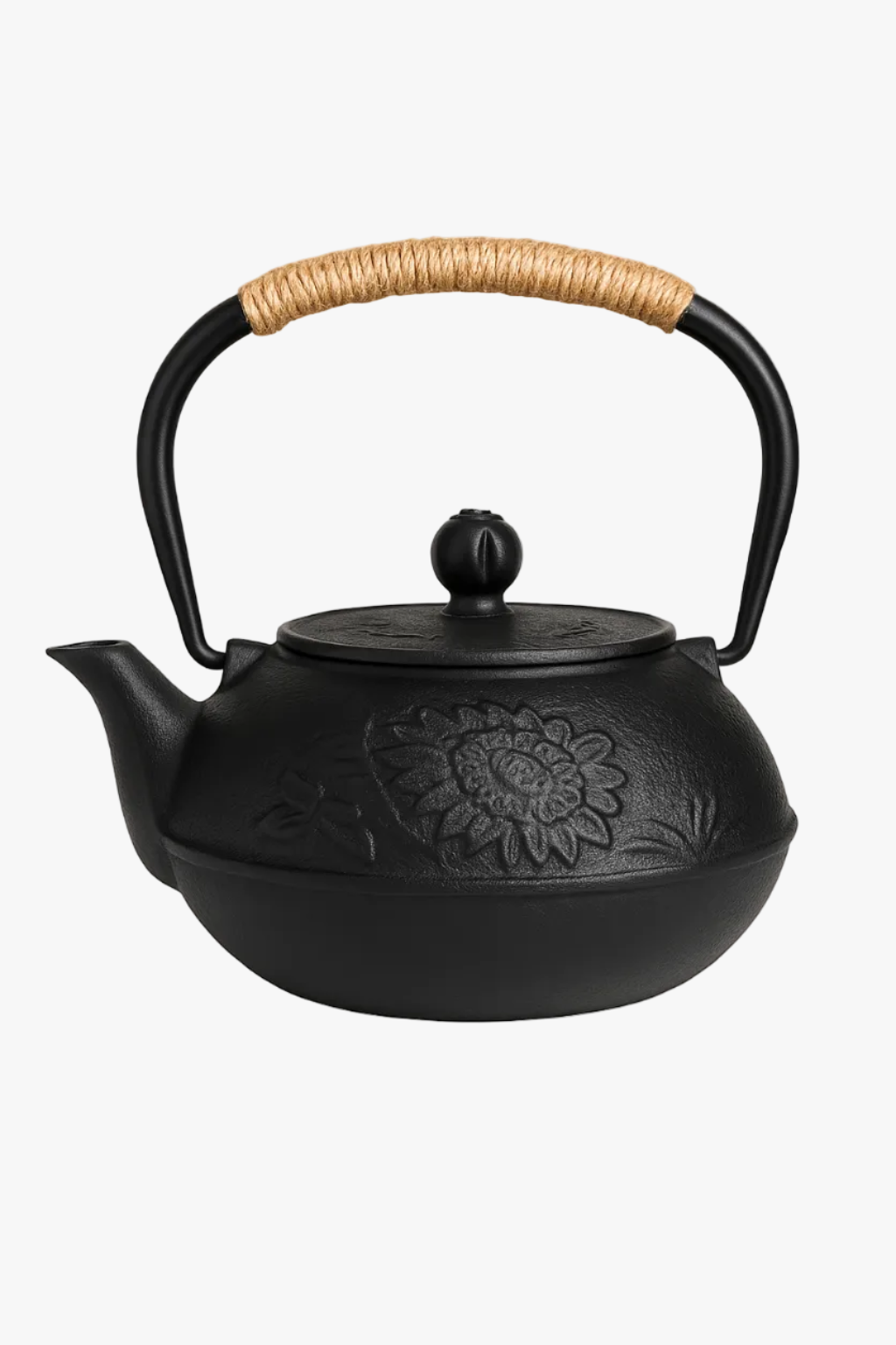 Japanese cast iron teapot with kung fu infuser