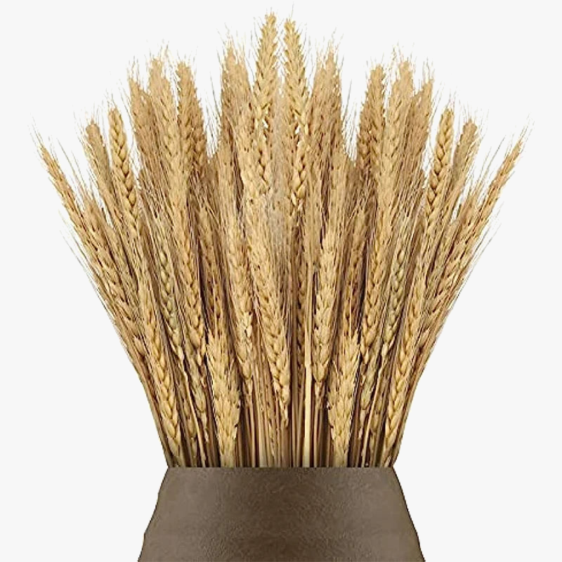 Natural dried wheat stems for festive decoration and bouquet - view 6