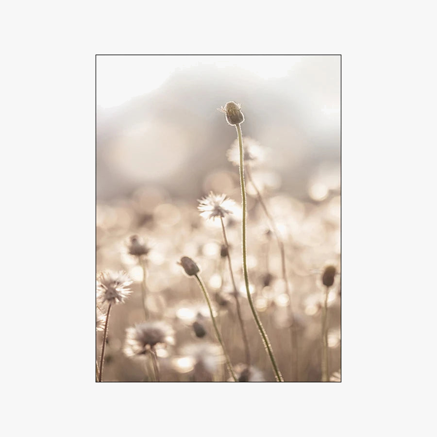 Dandelion and Beige Grass Wall Art Canvas in Soft Beige Palette