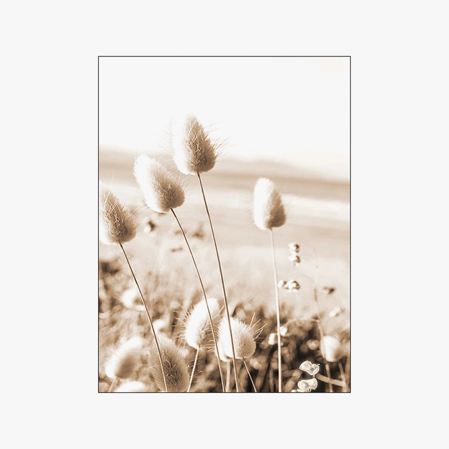 Dandelion and Beige Grass Canvas Wall Art, Design G