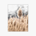 Minimalist Dandelion and Grass Nordic Wall Art Canvas