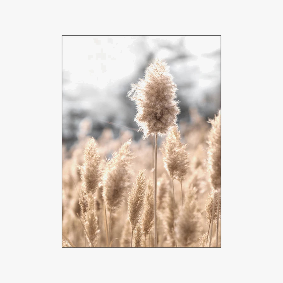 Minimalist Dandelion and Grass Nordic Wall Art Canvas