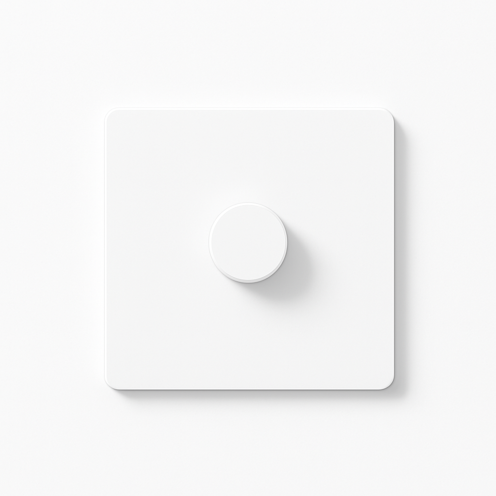 Versatile White Matt Steel Dimmer Switch